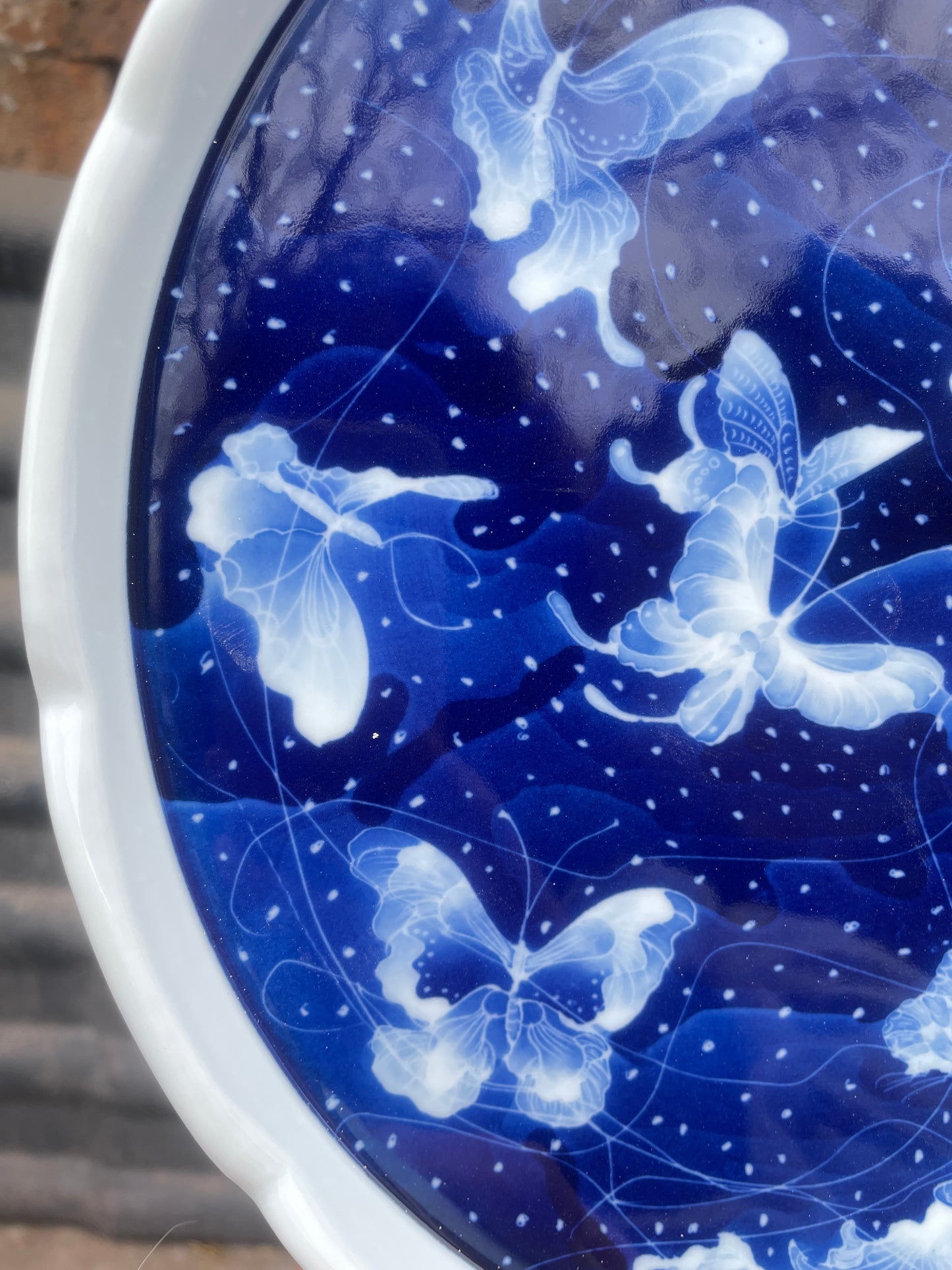 Medium-size Jellyfish and butterfly porcelain plate（customized）